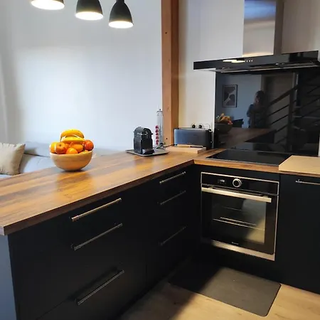 Duplex Moderne, Chaleureux Au Calme A Toison D'or * 디종