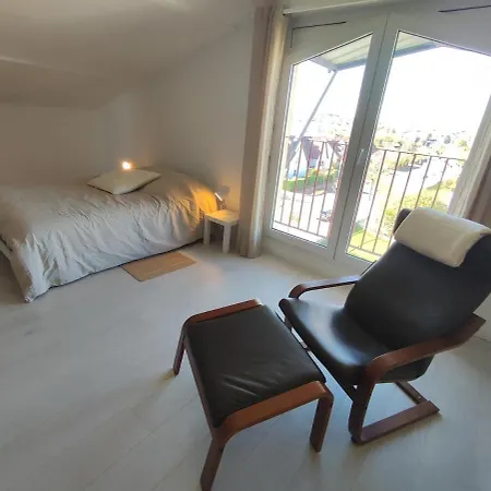 Duplex Moderne, Chaleureux Au Calme A Toison D'or Apartment