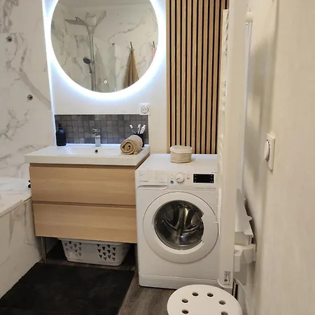 Appartement Duplex Moderne, Chaleureux Au Calme A Toison D'or Dijon