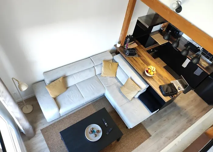 Duplex Moderne, Chaleureux Au Calme A Toison D'or Apartment