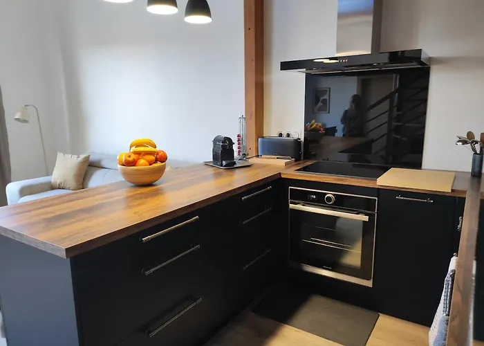 Duplex Moderne, Chaleureux Au Calme A Toison D'or * Dijon