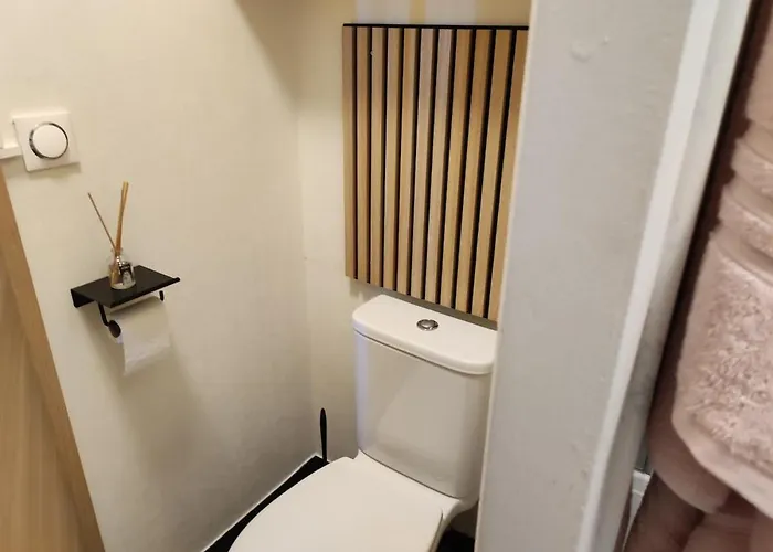 Duplex Moderne, Chaleureux Au Calme A Toison D'or *